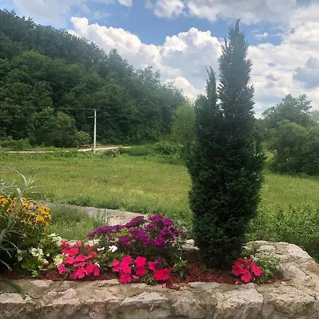 Casa vacanze Tijanje Guča